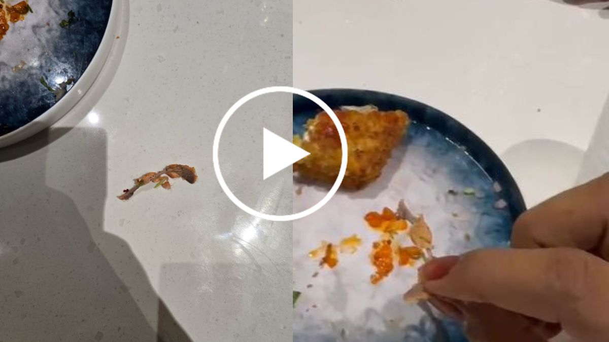 रेस्टोरेंट के वेज खाने में मिली हड्डी, मचा हड़कंप, देखें VIDEO
